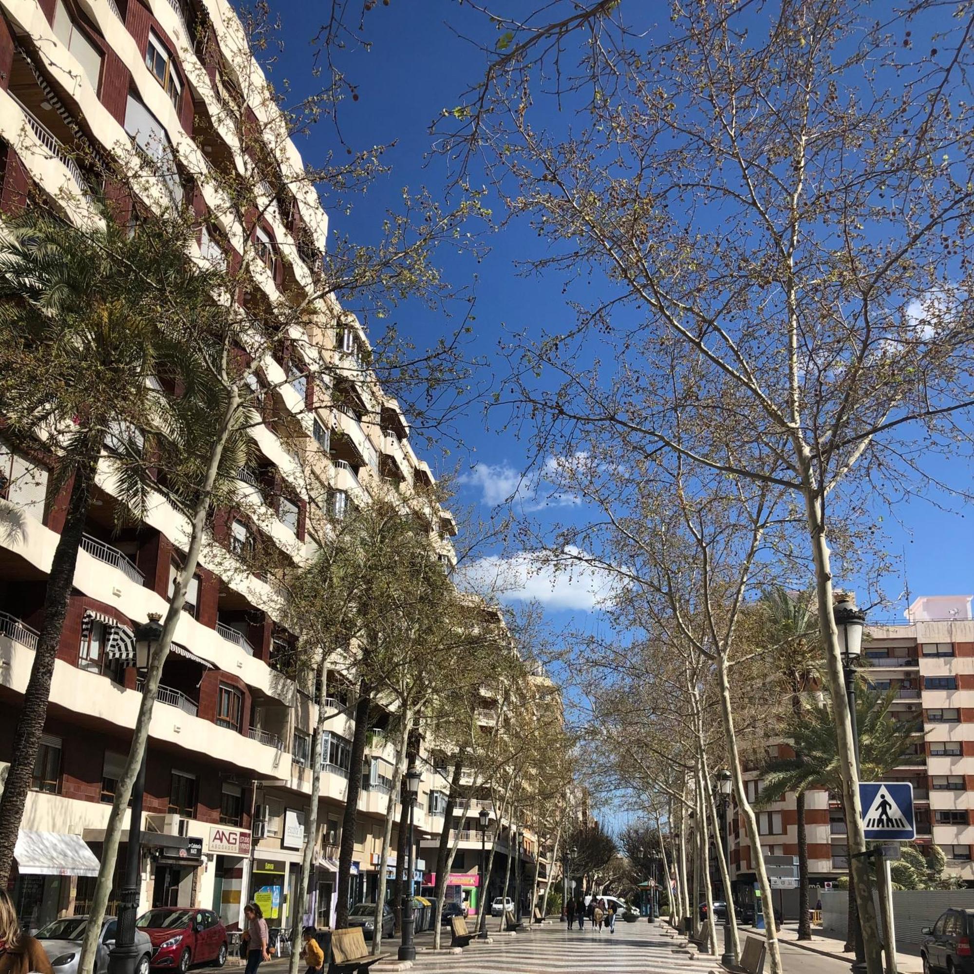 Habitaciones En Gandia A 5 Min Del Centro Historico Esterno foto